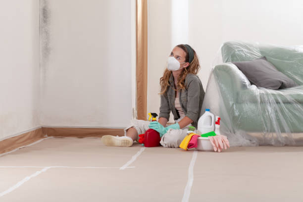 Reliable Black Mold Removal contractor in Dunn Loring, VA by WQB Mold Removal